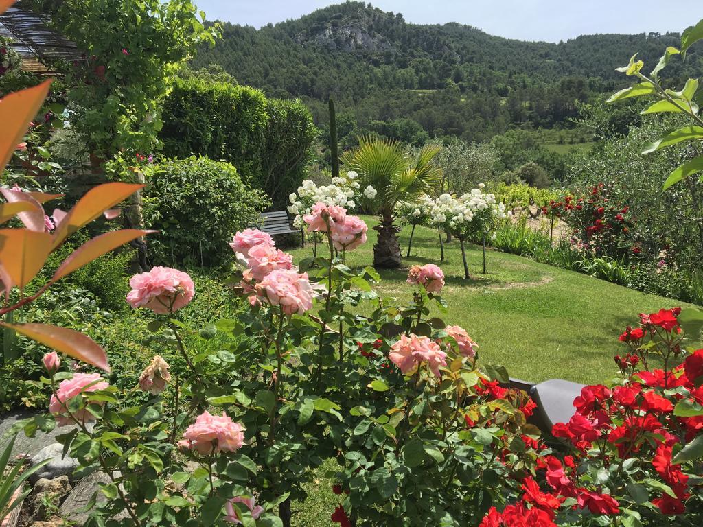 Le Grand Jardin Bed and Breakfast Lafare Exterior foto