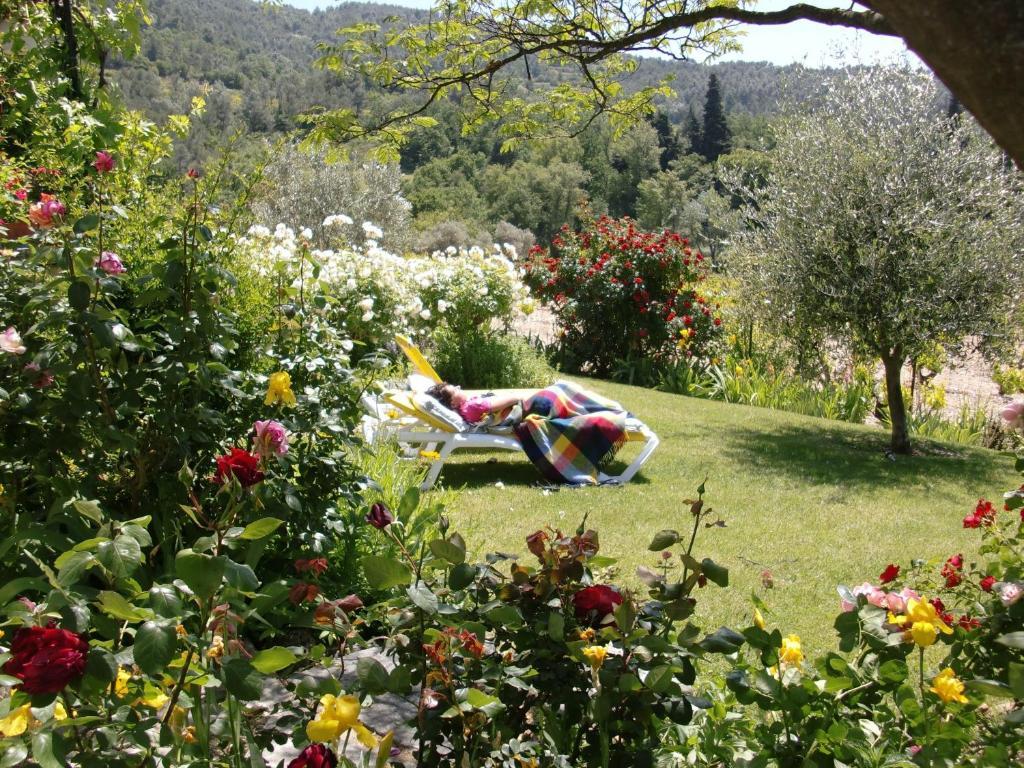 Le Grand Jardin Bed and Breakfast Lafare Exterior foto