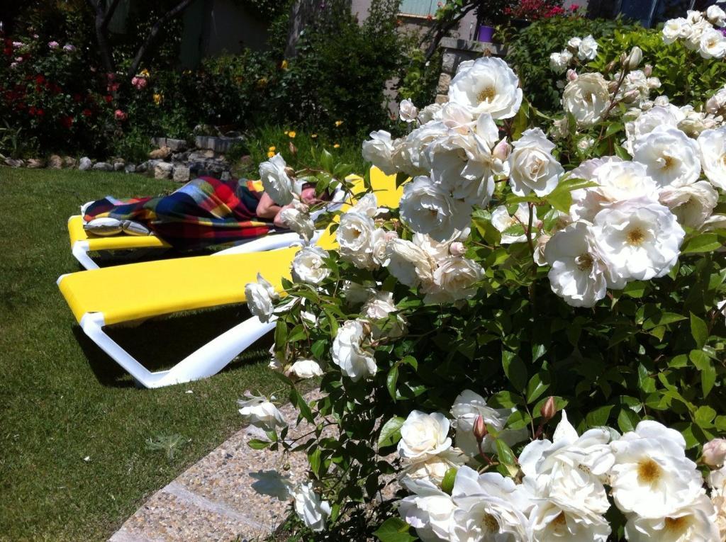 Le Grand Jardin Bed and Breakfast Lafare Exterior foto