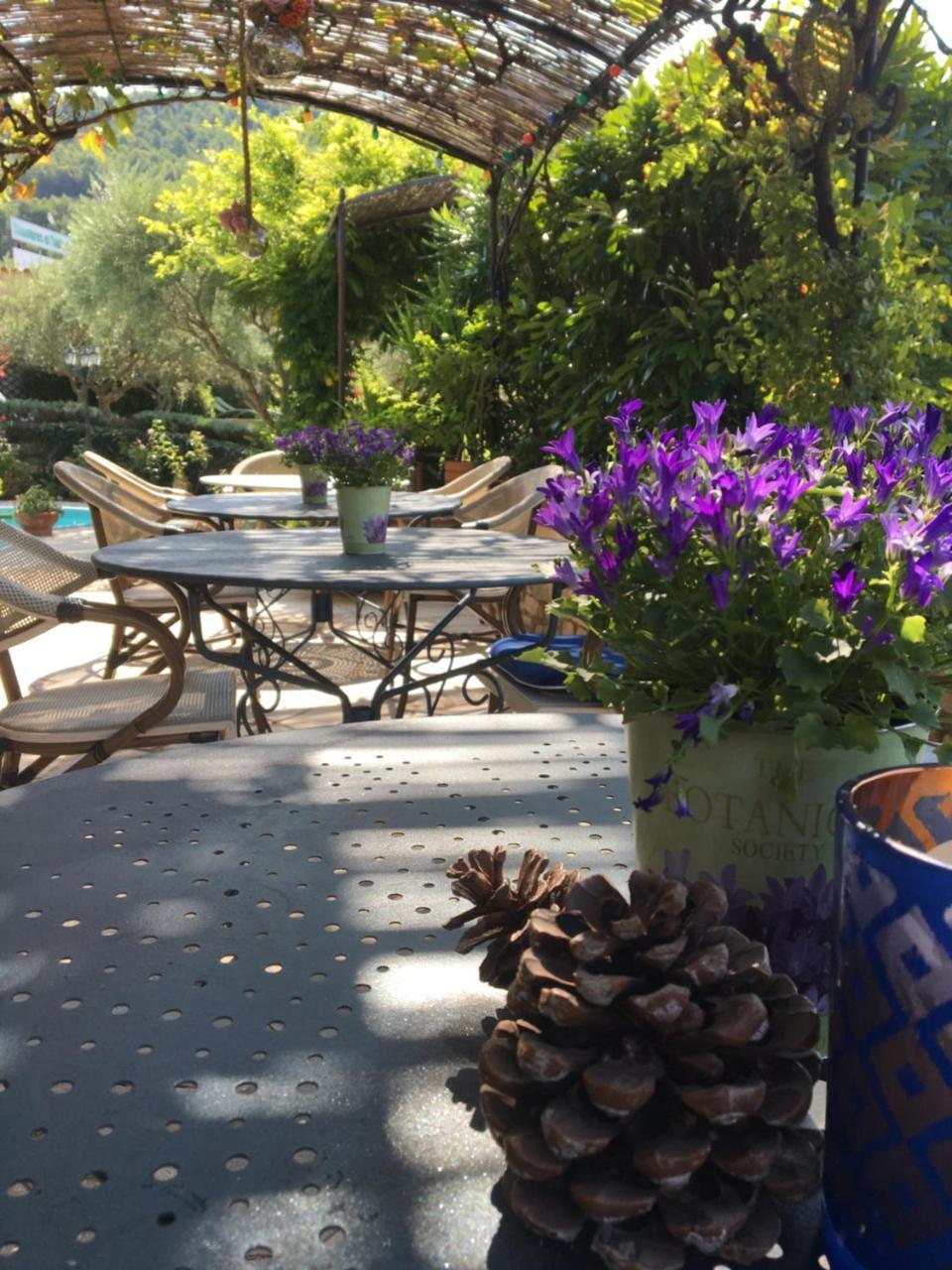 Le Grand Jardin Bed and Breakfast Lafare Exterior foto