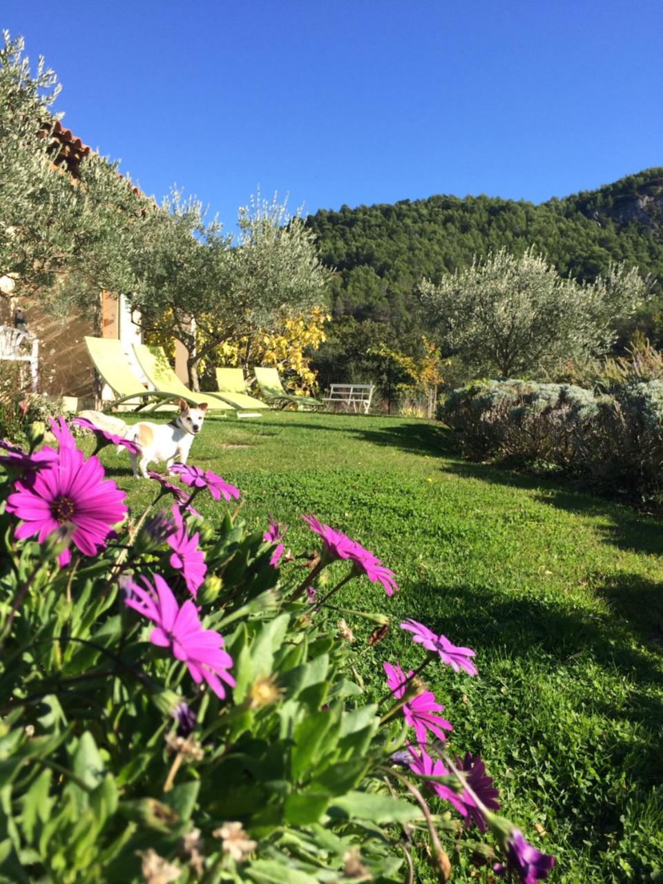 Le Grand Jardin Bed and Breakfast Lafare Exterior foto