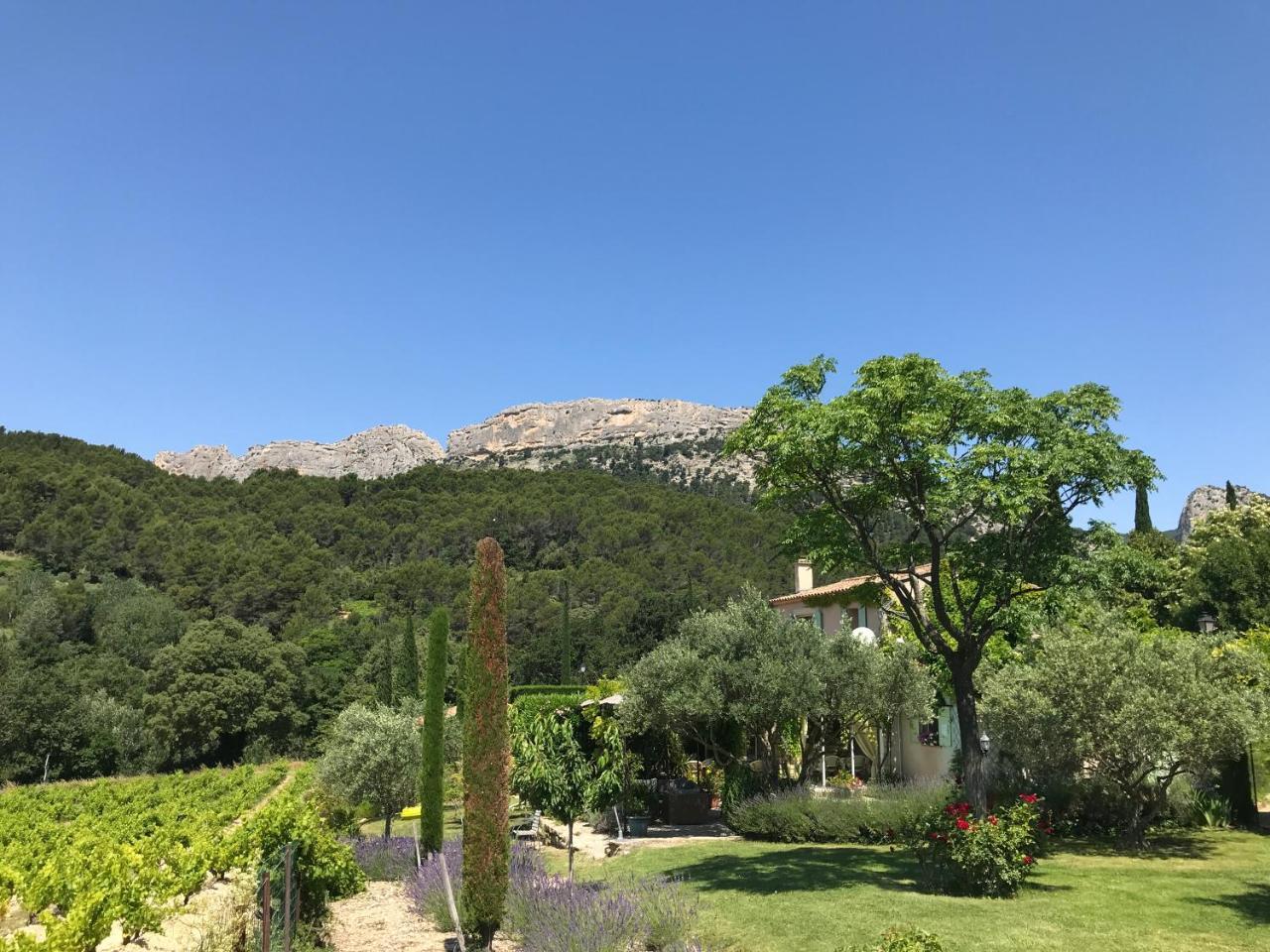 Le Grand Jardin Bed and Breakfast Lafare Exterior foto